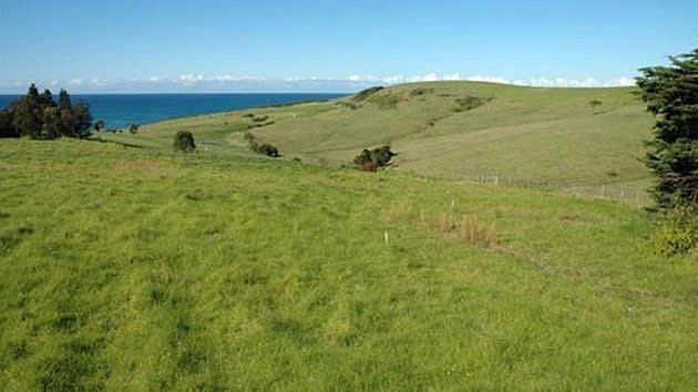 Beachlands, Ron Medich's hilltop Gerroa acreage site withdrawn from weekend auction offering
