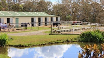 Samarai riding school falls short of its desired $3 million price hurdle