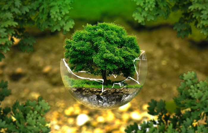 Around the world, environmental laws are under attack in all sorts of way: Bill Laurance