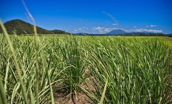 The nine projects at the centre of Queensland’s regional framework