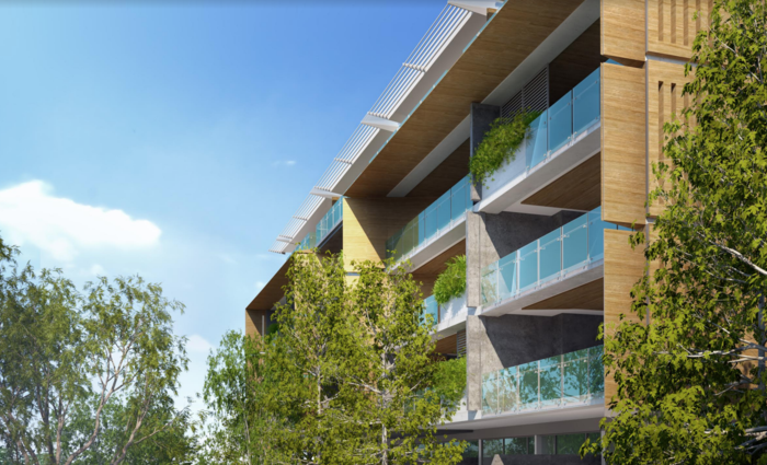 Apartment development to integrate Queensland's oldest Banyan Fig tree