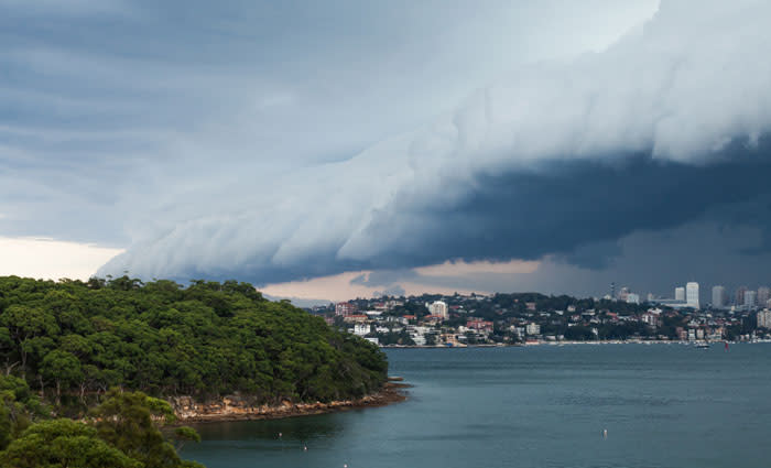 Get set for the four elements of the perfect property storm to be struck down: Hotspotting's Terry Ryder