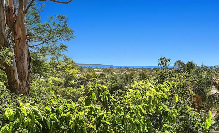 Sydney market strength remains key to Illawarra performance: HTW