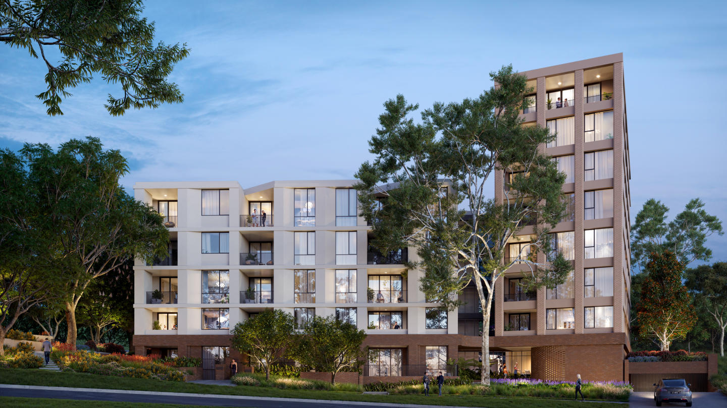 Blossom, Carlingford Blossom, Carlingford