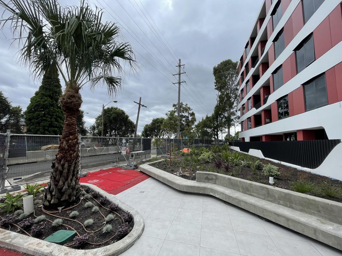 The Lidcombe Rise