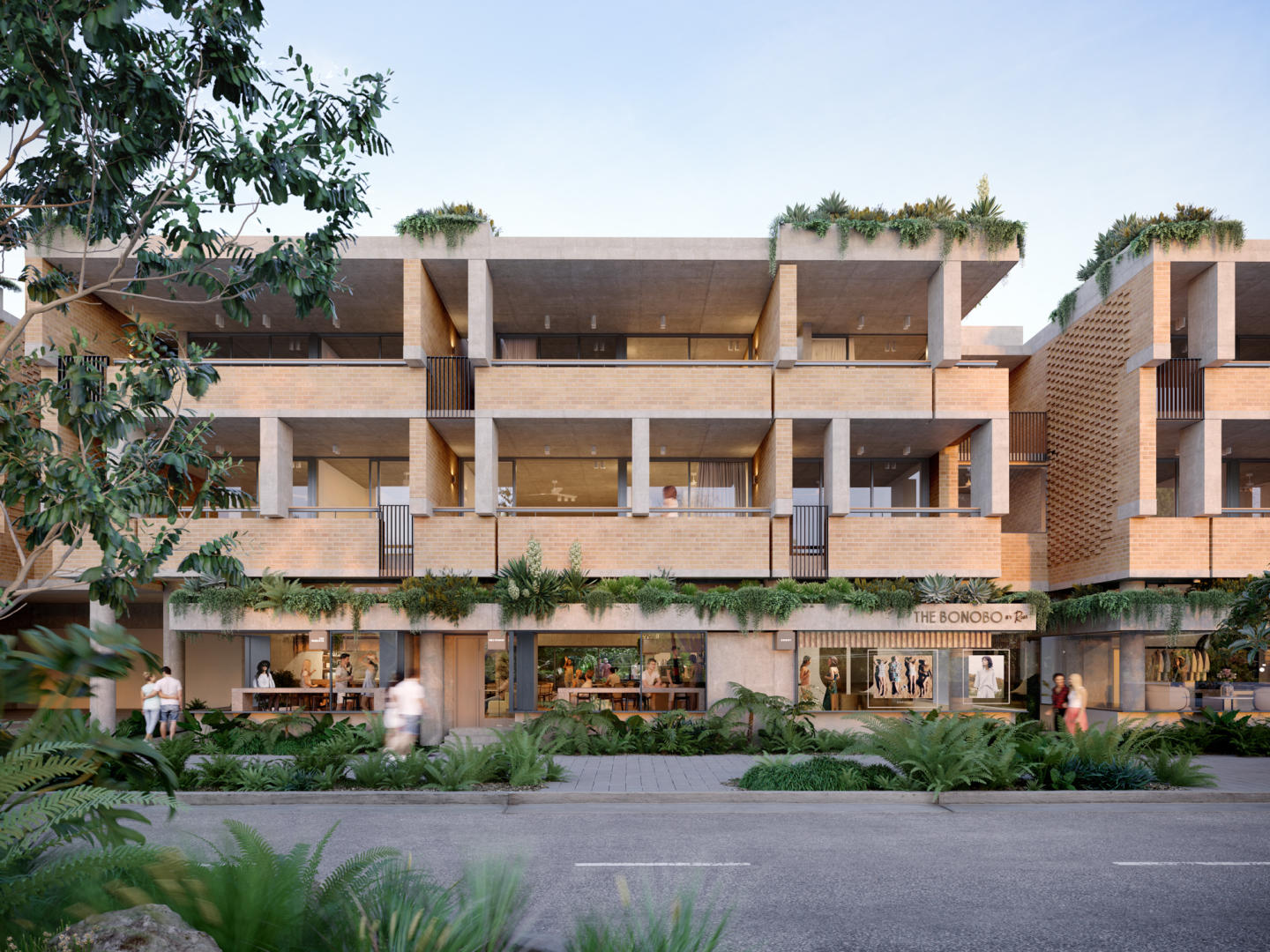 The Bonobo by Raes, Byron Bay The Bonobo by Raes, Byron Bay