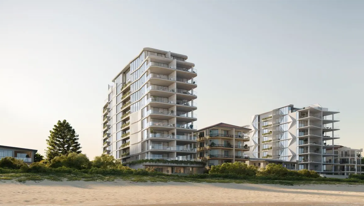 Why Pipis in Bilinga is seeing strong interstate demand