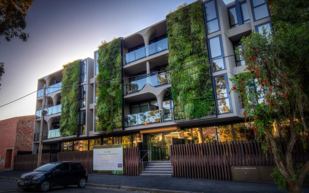 Could money one day grow on rooftop trees?