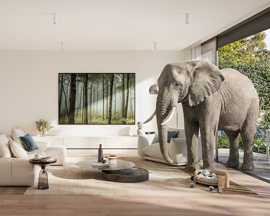 Inside Wimba Ave, Kew’s garden-scale residences designed for space and permanence