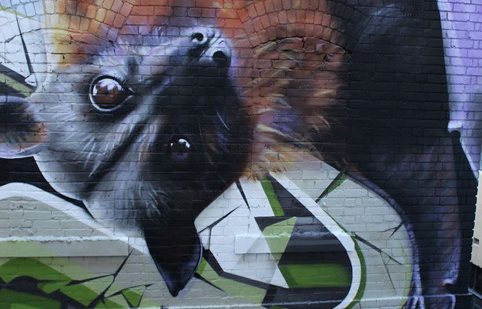 Rutledge Lane reaches for the sky