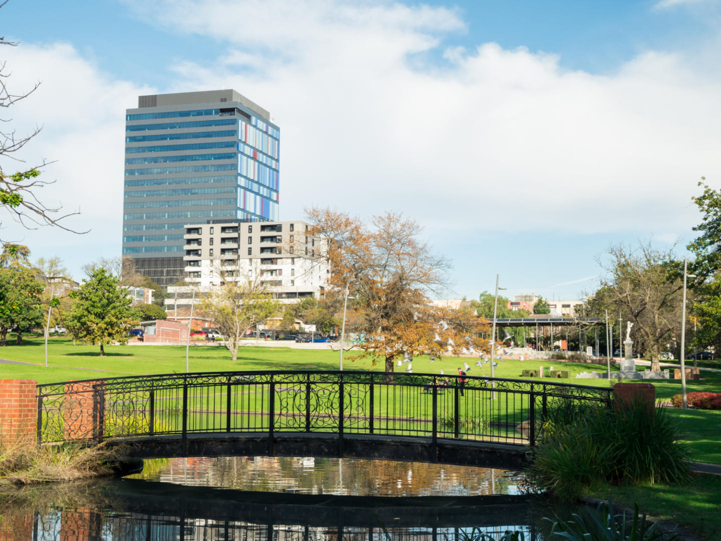 Box Hill, Victoria 3128: The complete suburb guide for buyers
