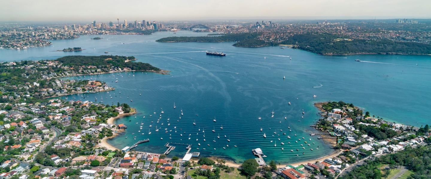 The Avenue, Rose Bay