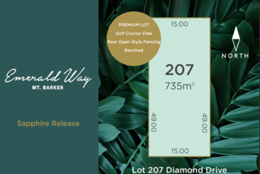 Lot 207