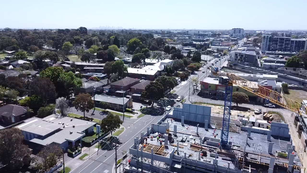 Banksia, Cheltenham