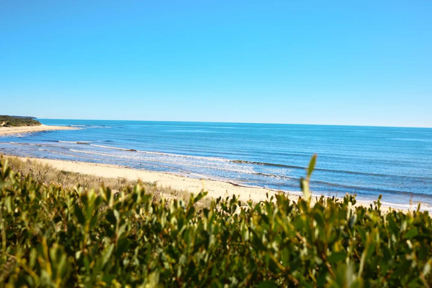 Shoreline Shoreline