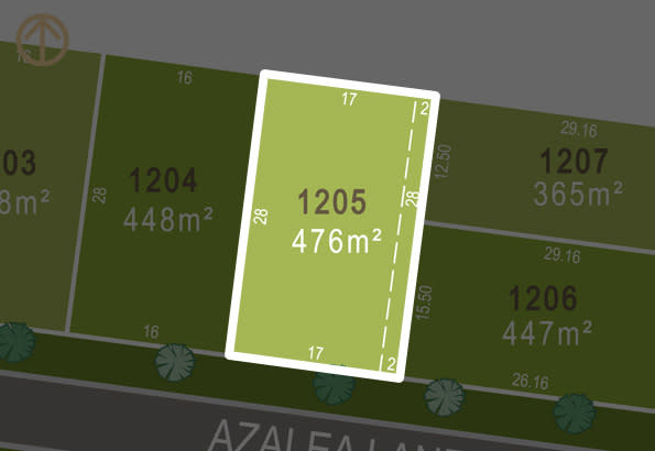 Lot 1205