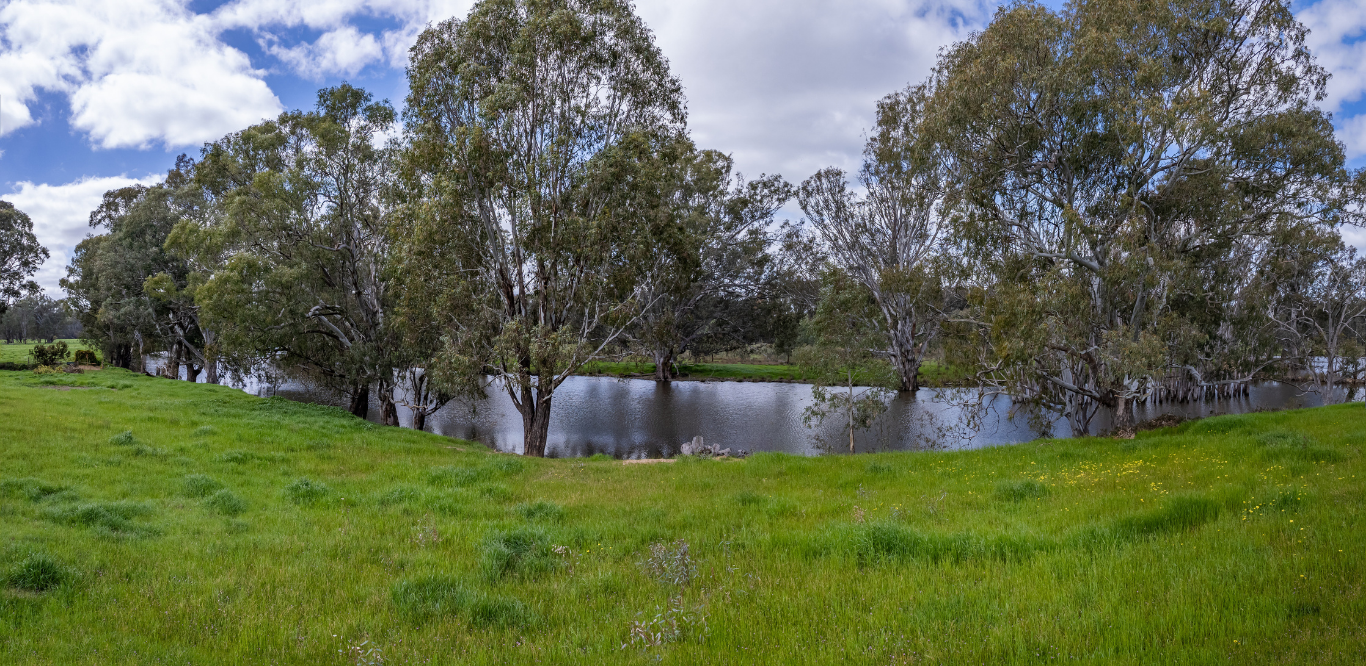 Murdoch Waters Murdoch Waters