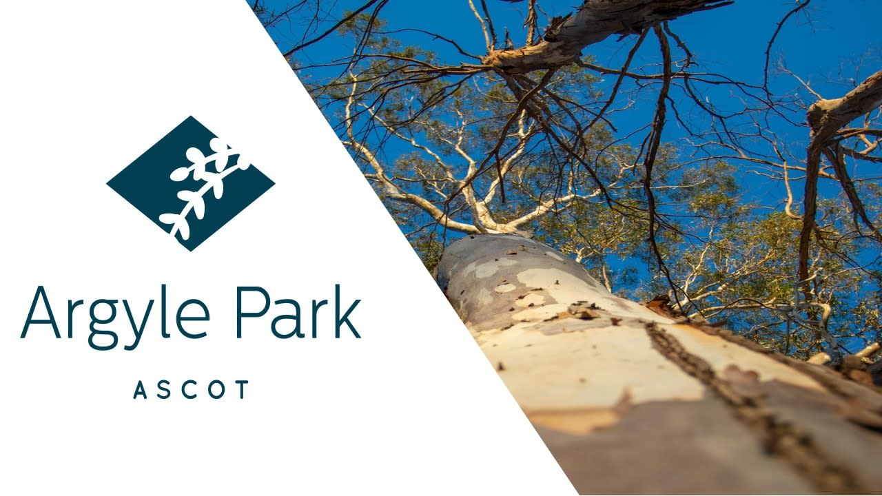 Argyle Park