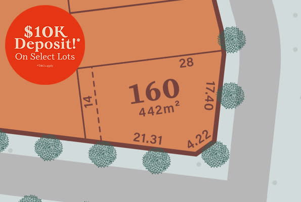 Lot 160