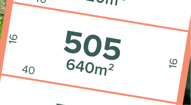 LOT 505