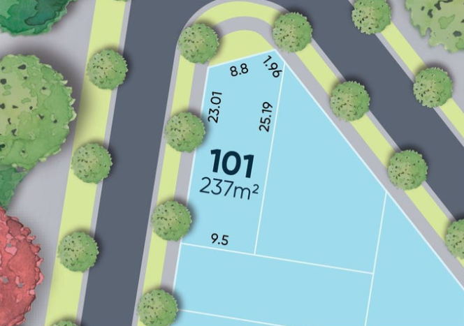 Lot 101