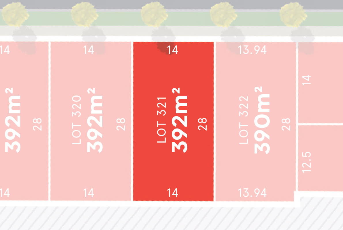 Lot 321