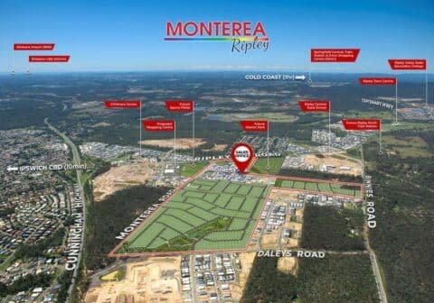 Monterea Ripley - Ripley