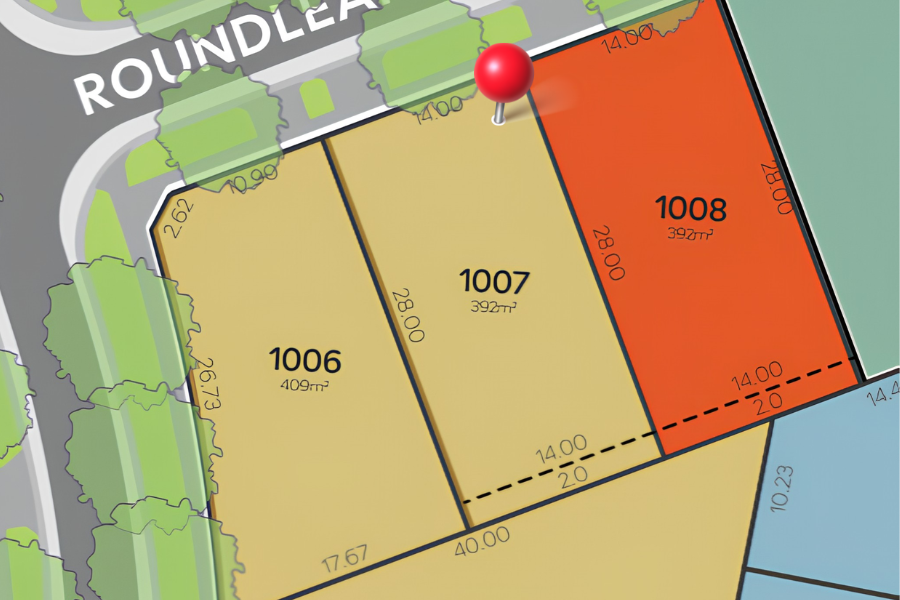 Lot 1007