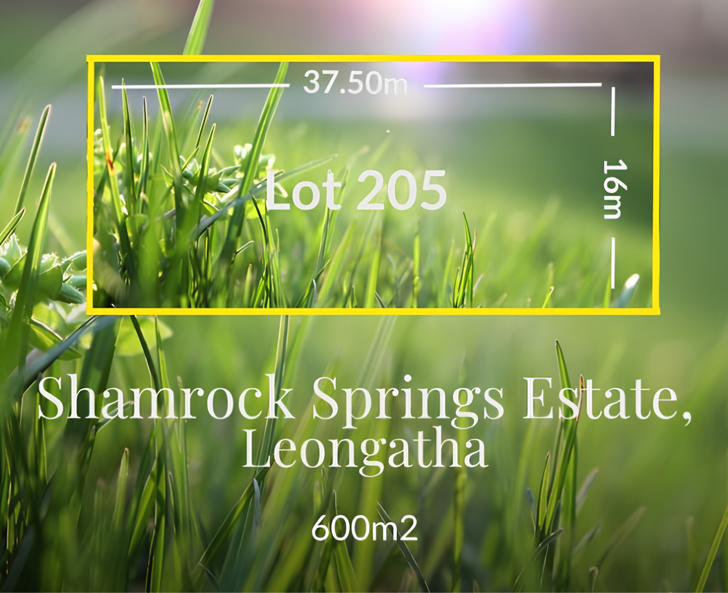 Lot 205