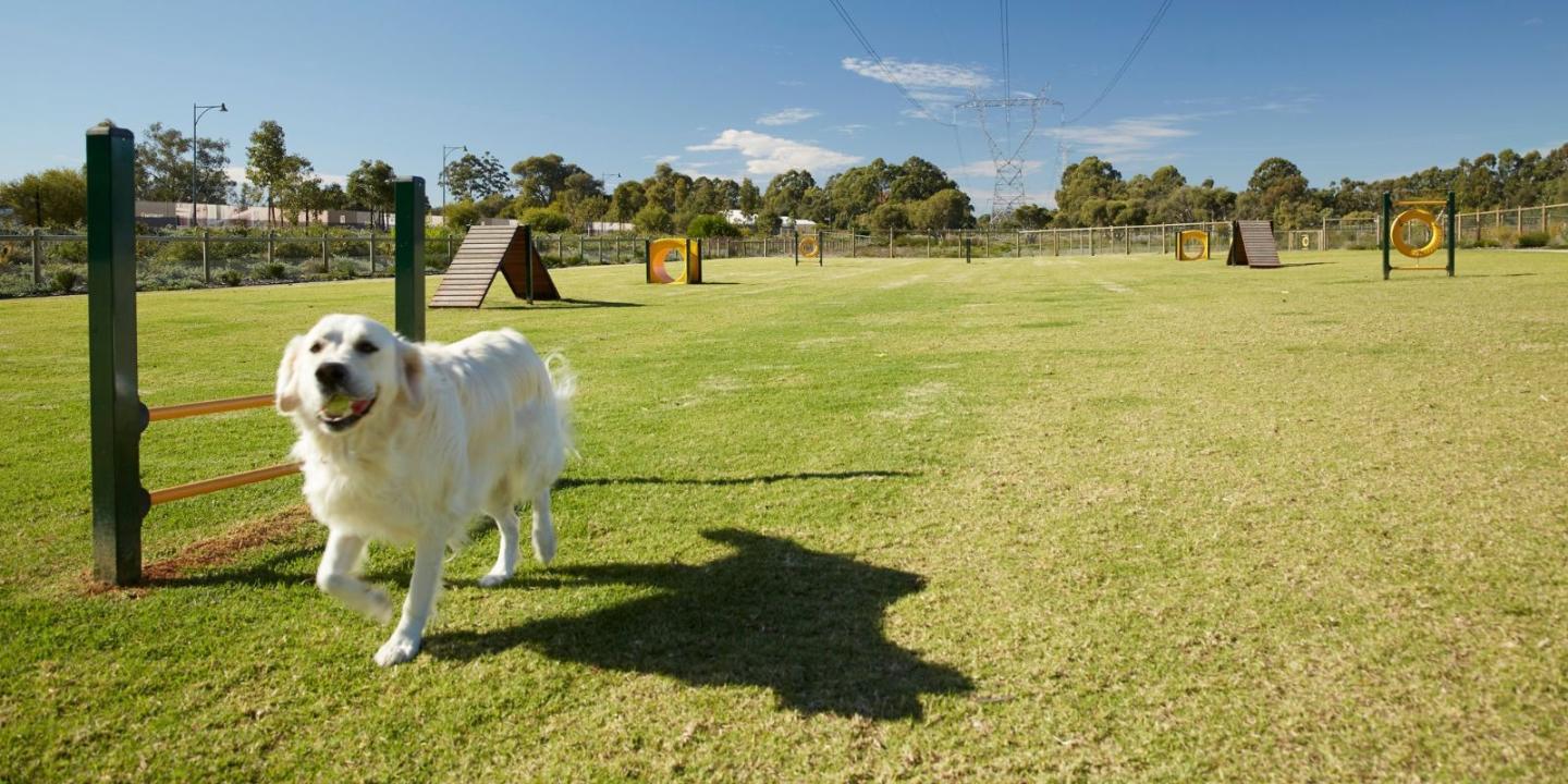 Honeywood Estate - Wandi Honeywood Estate - Wandi