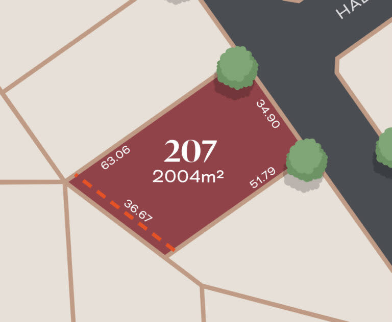 LOT 207
