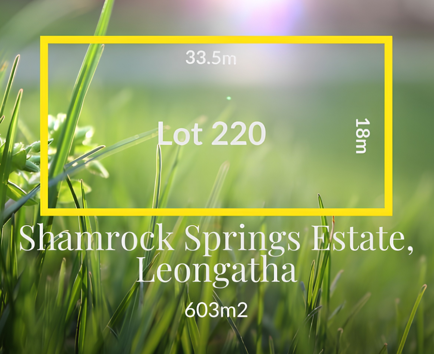 Lot 220