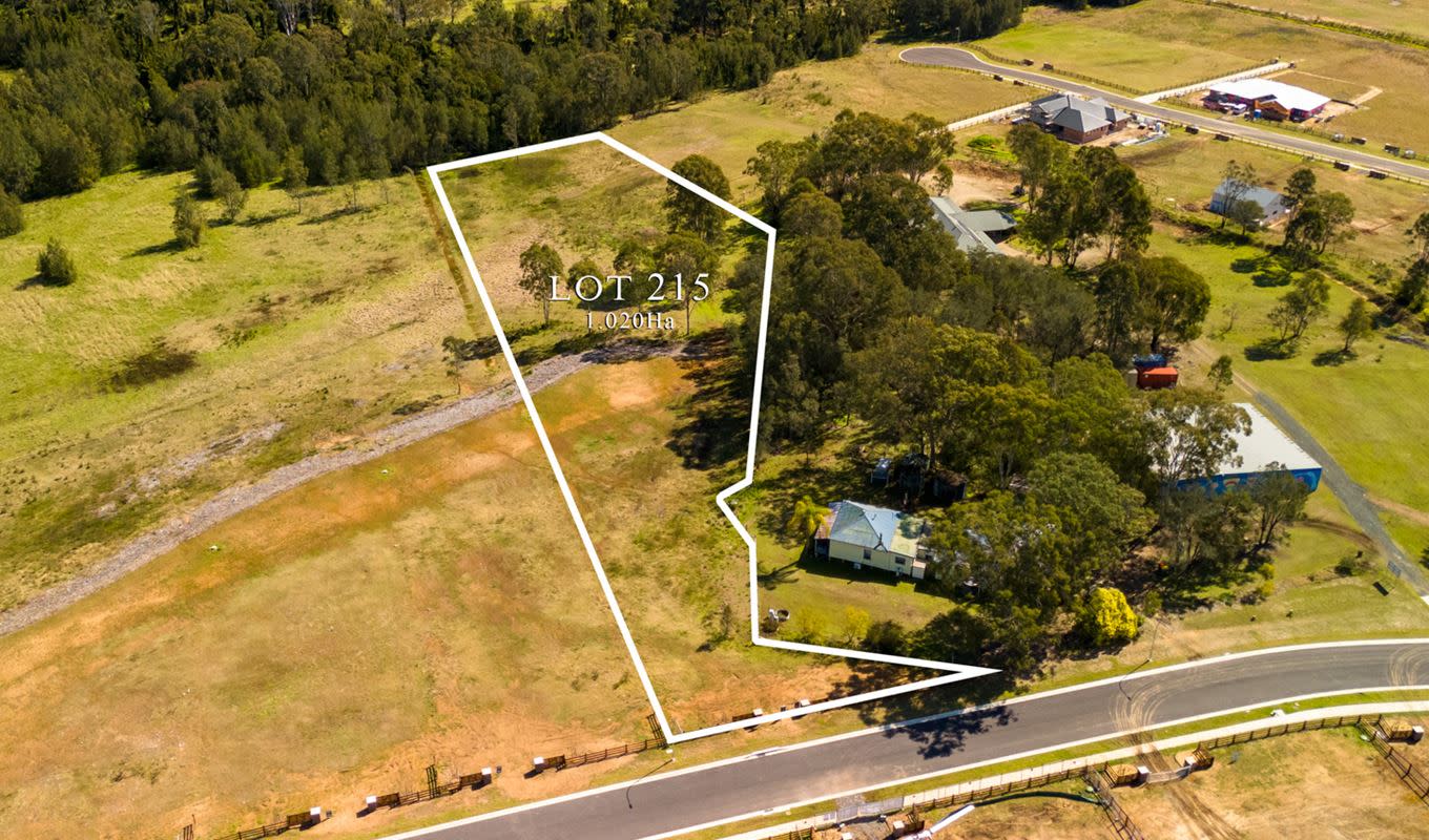 Lot 215