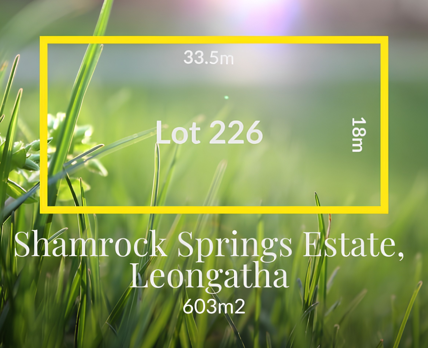 Lot 226