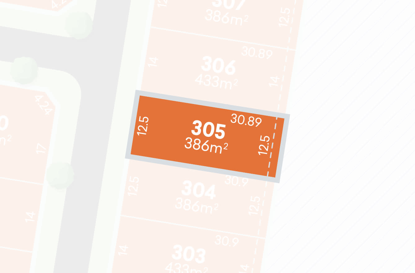 Lot 305
