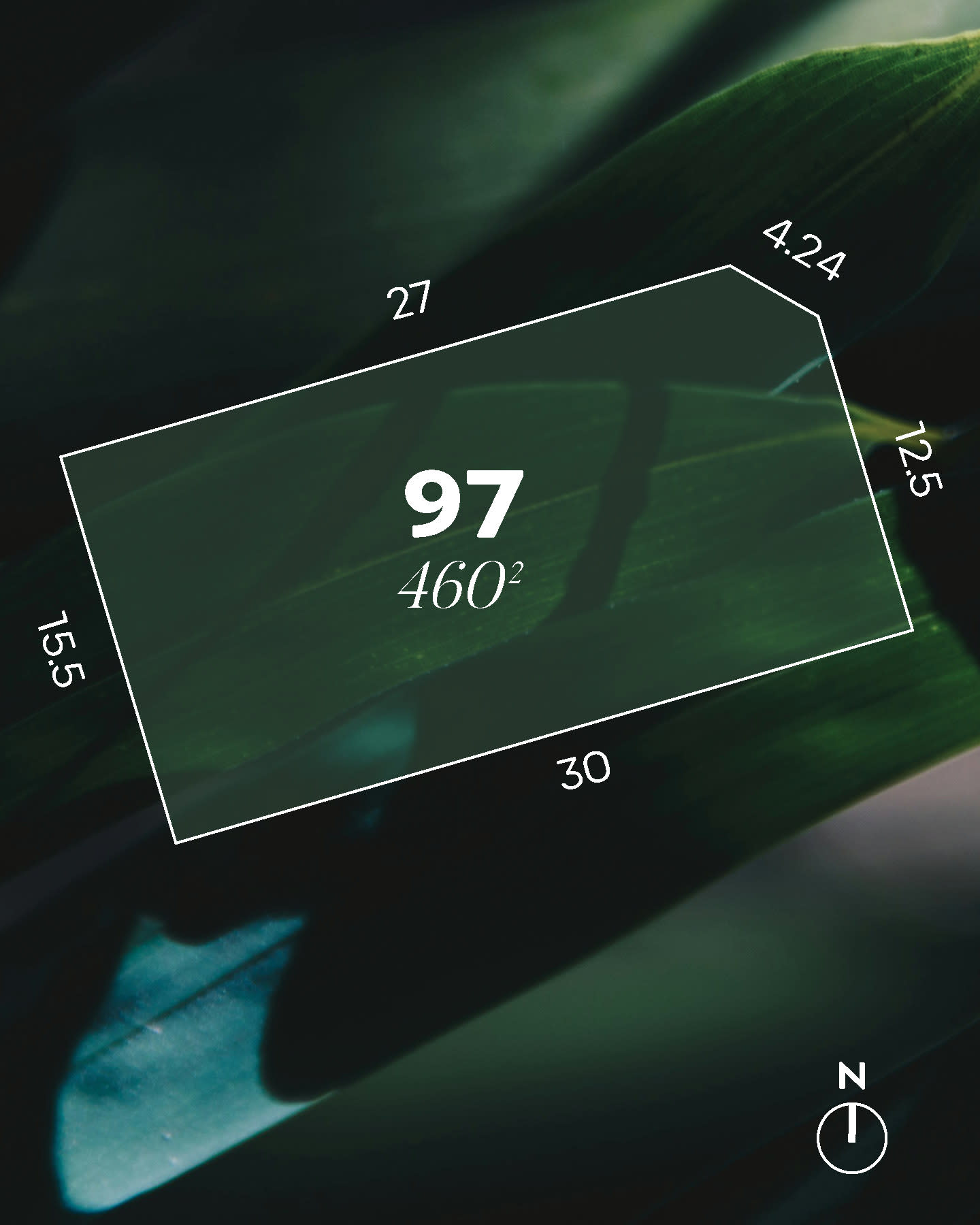 LOT 97