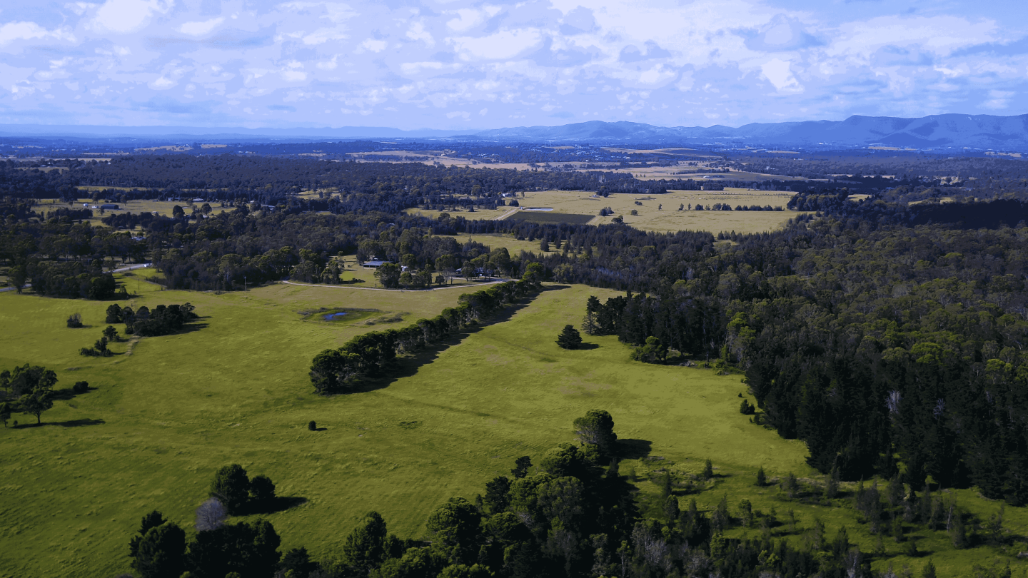 Large residential lots up to 41,000 sqm define established ARIA Hunter Valley community in Rothbury