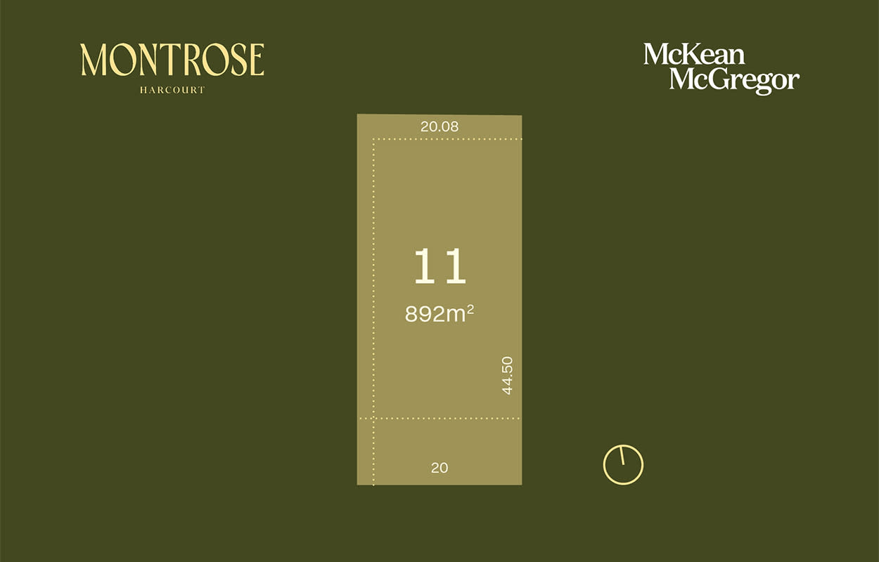 Lot 11