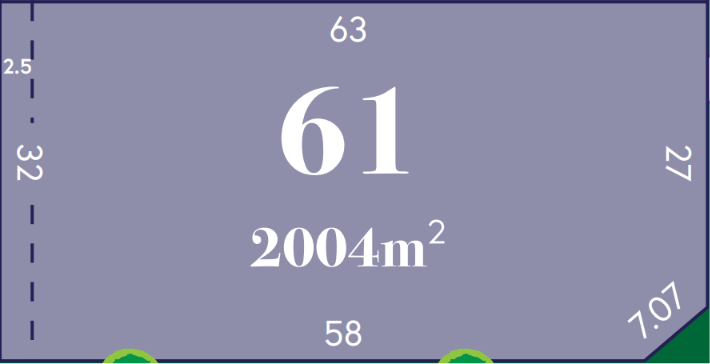 LOT 61