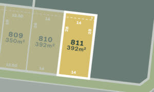 Lot 811