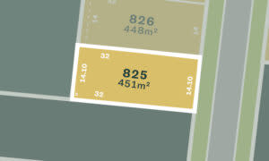 Lot 825