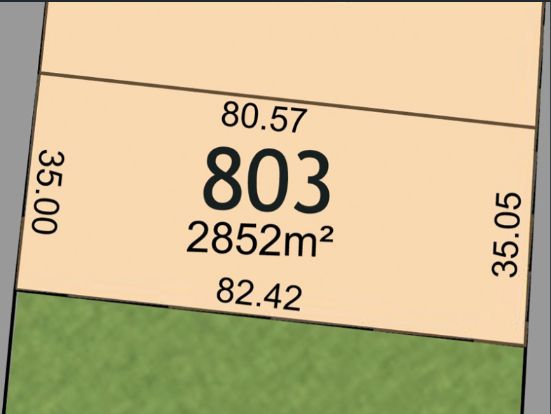 Lot 803