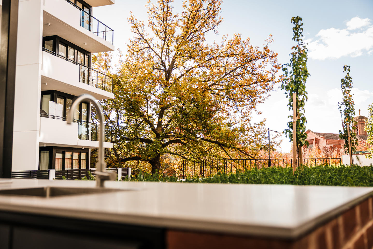 Renaissance Manuka Renaissance Manuka