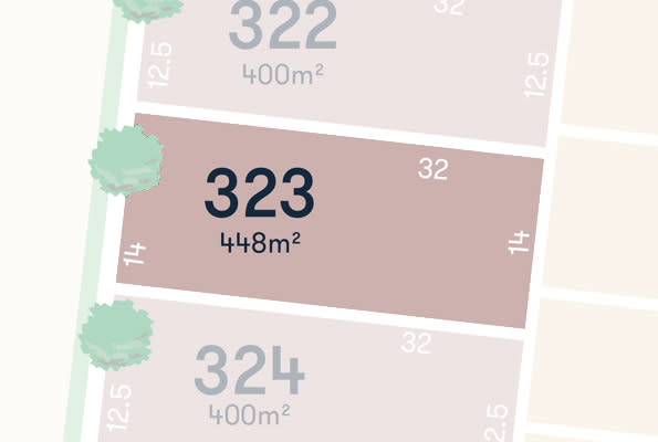 Lot 323