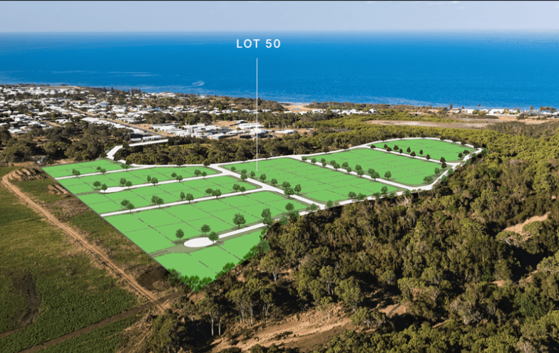 Lot 50