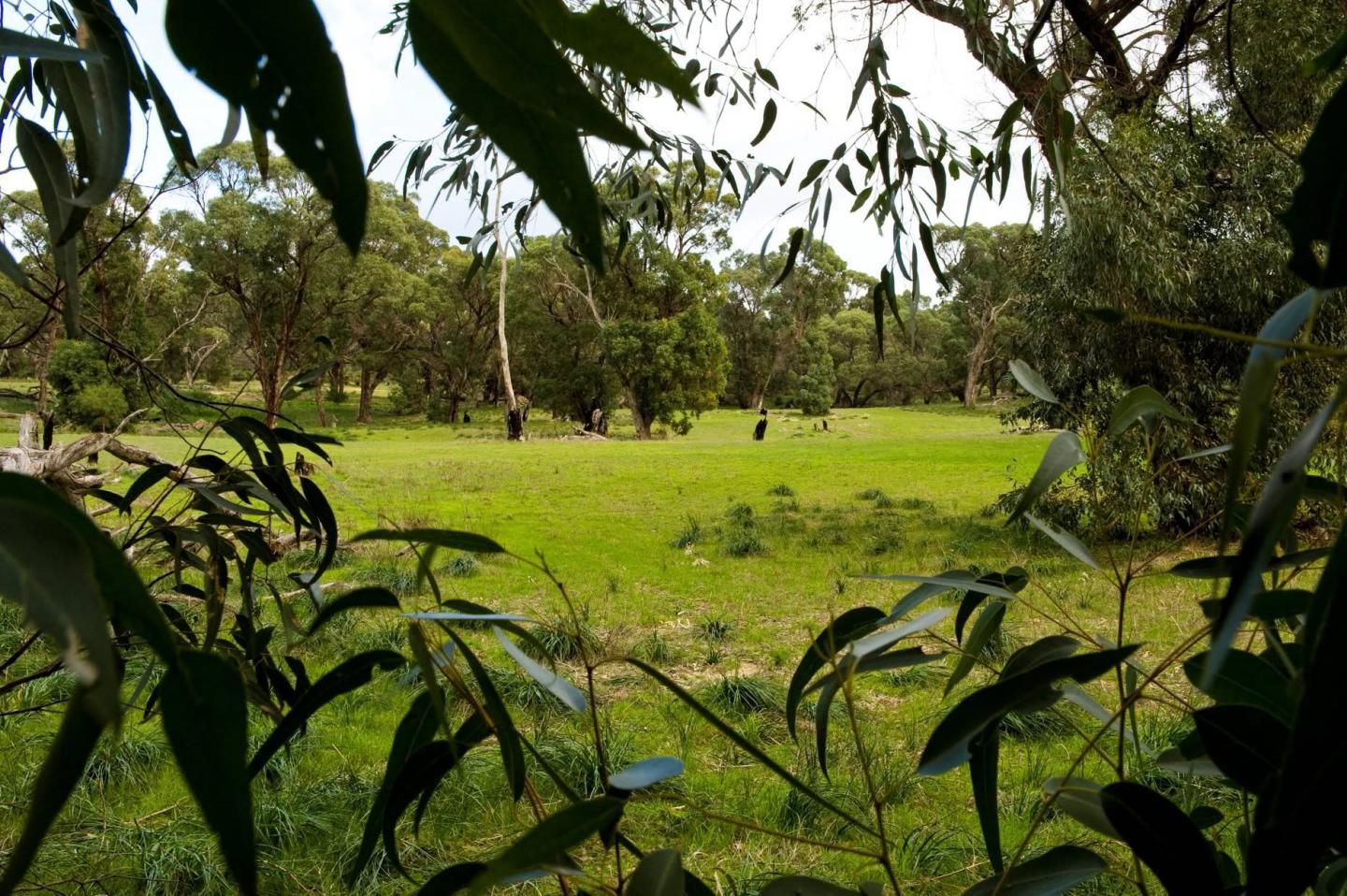 Breakwater Estate - Two Rocks