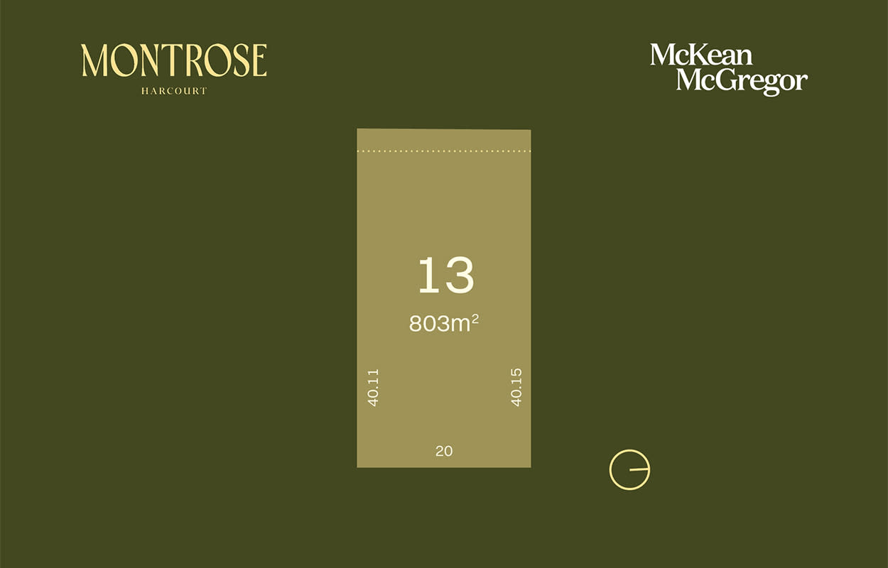 Lot 13