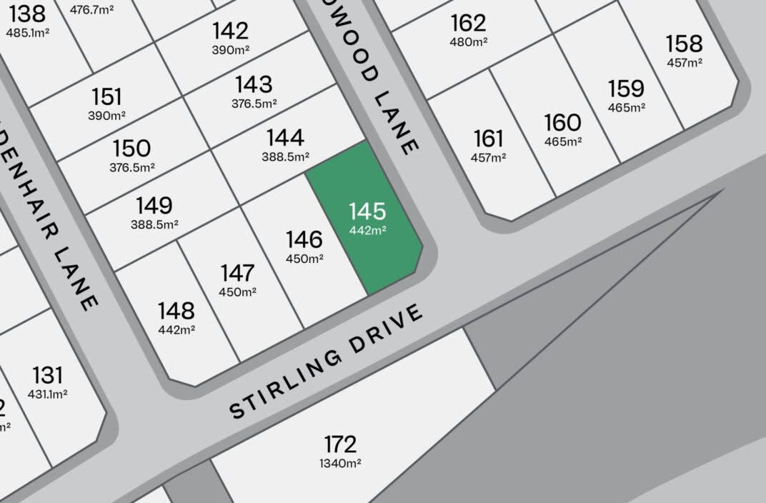 Lot 145