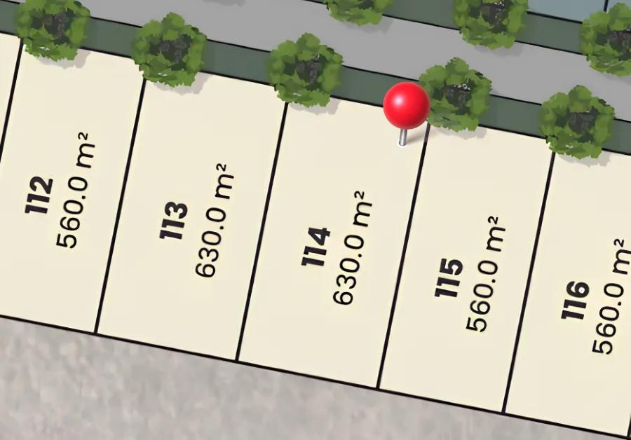 Lot 114