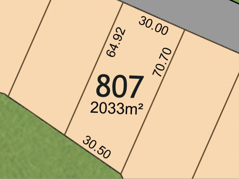 Lot 807
